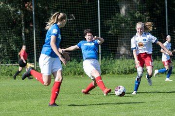 Bild 219 - wBJ Hamburger SV - Holstein Kiel : Ergebnis: 2:0